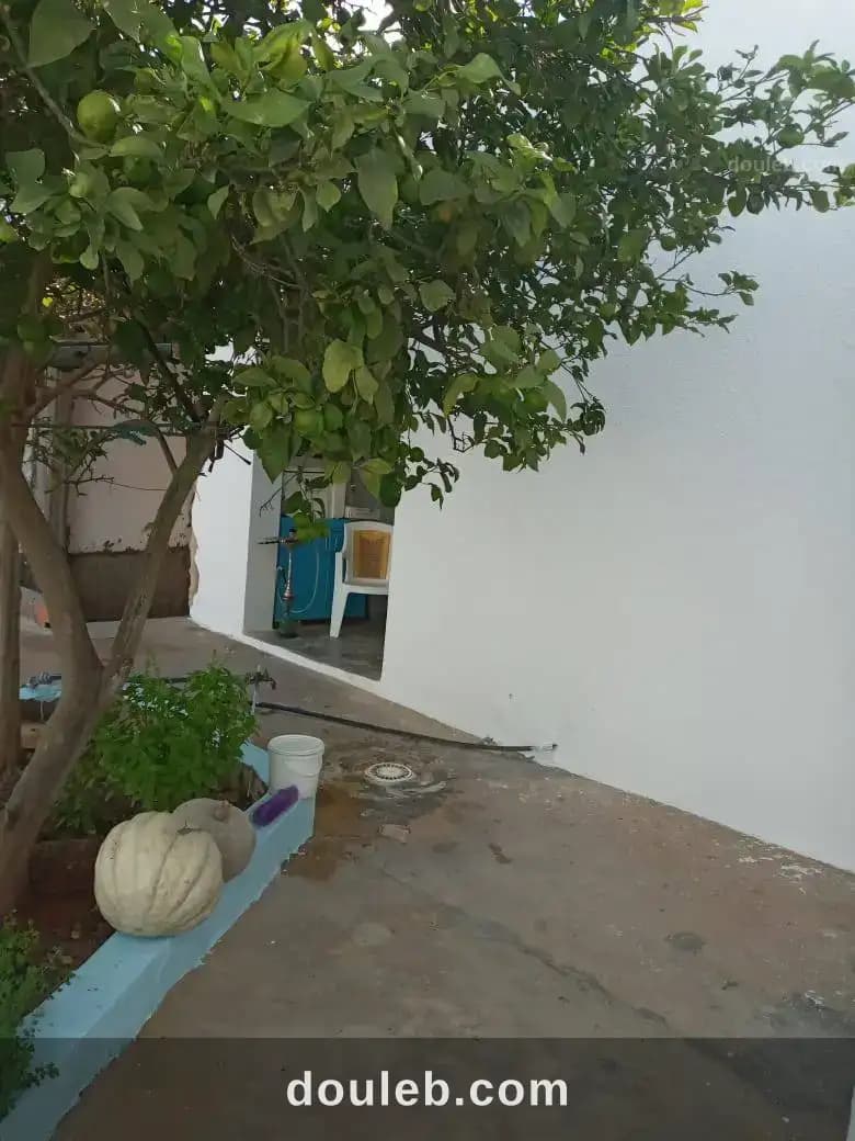 Maison arabe avec un garage - Miniature 5