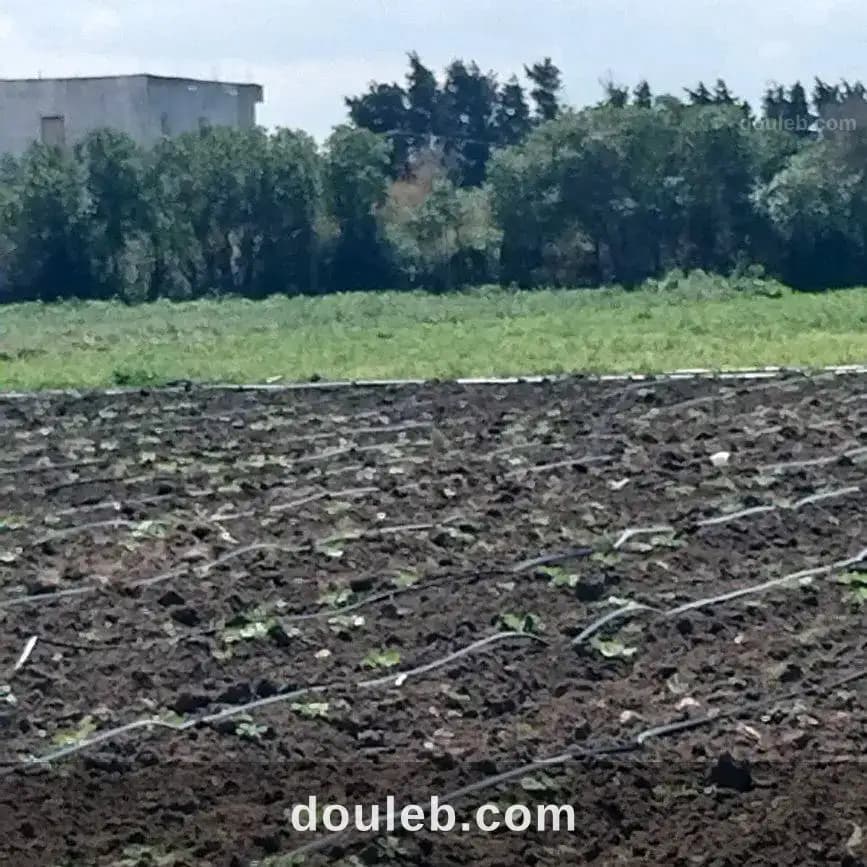 Terrain bonne occasion - Miniature 4