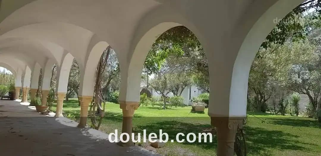 Villa foufa - Miniature 3