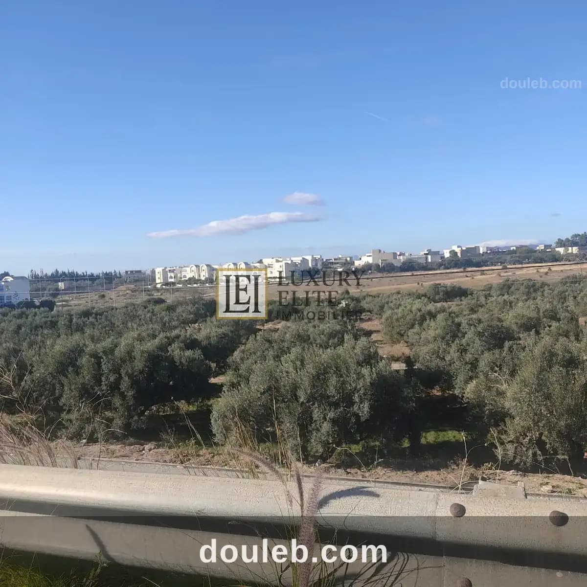 Terrain pour promoteur immobilier à Nabeul