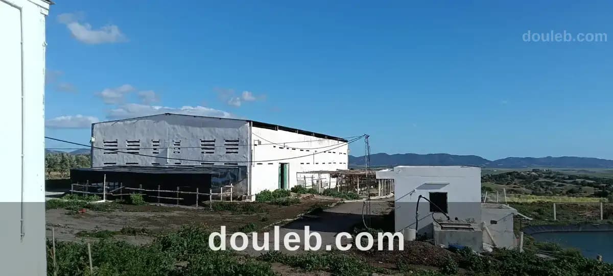Ferme agricole de 86 h à Zaghouan