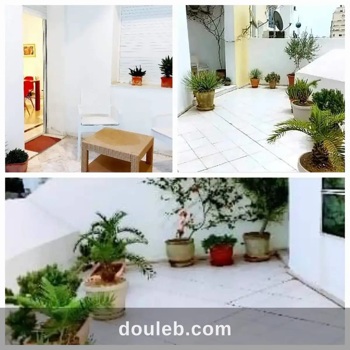Jolie et spacieux appartement s2 - Miniature 4
