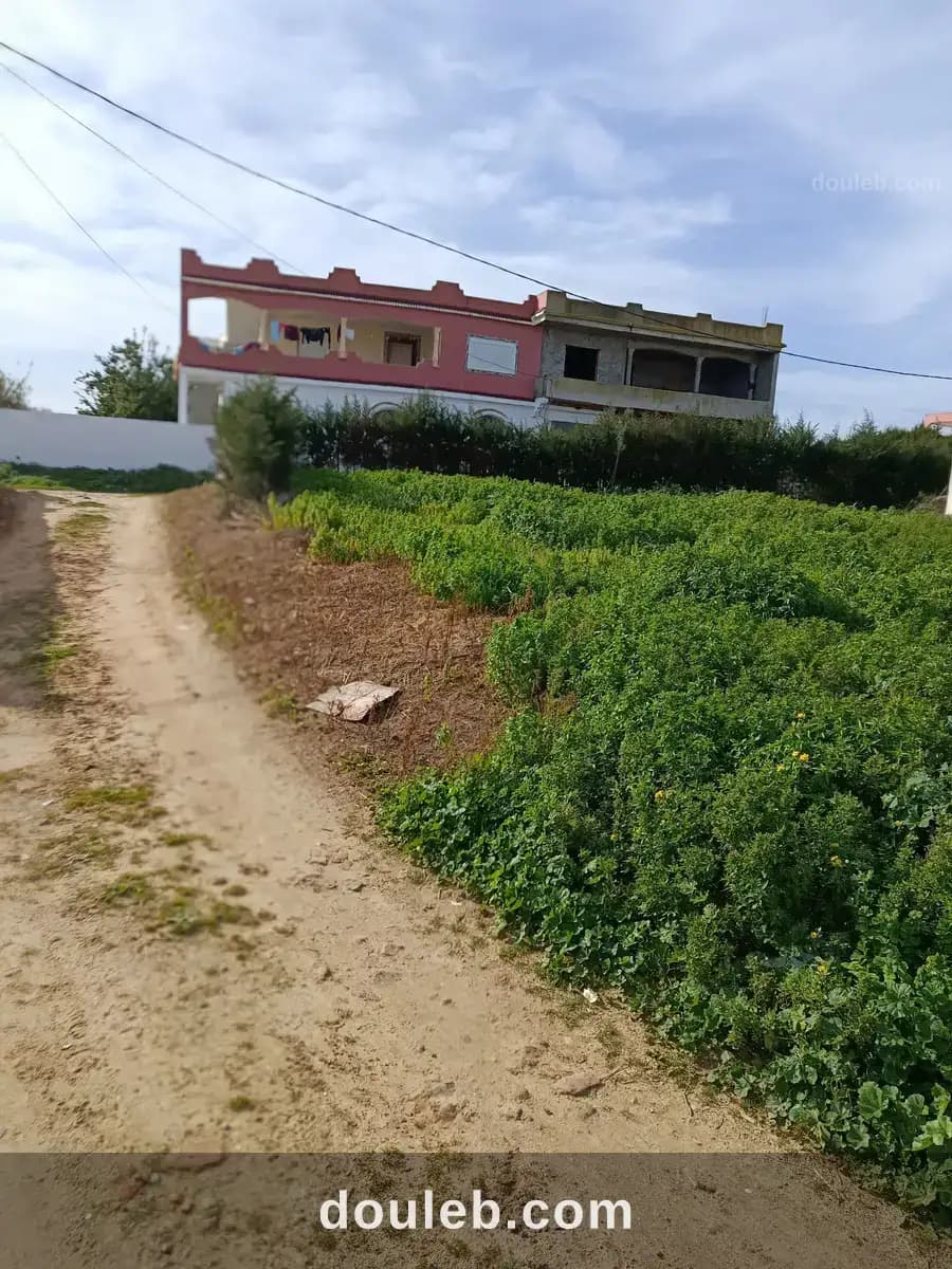 Terrain de construction à Bizerte