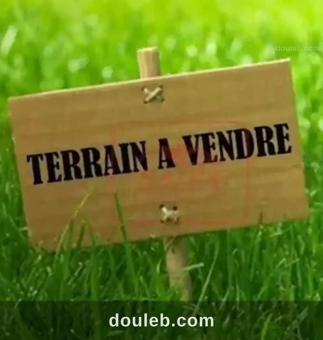Un terrain unique à Tunis
