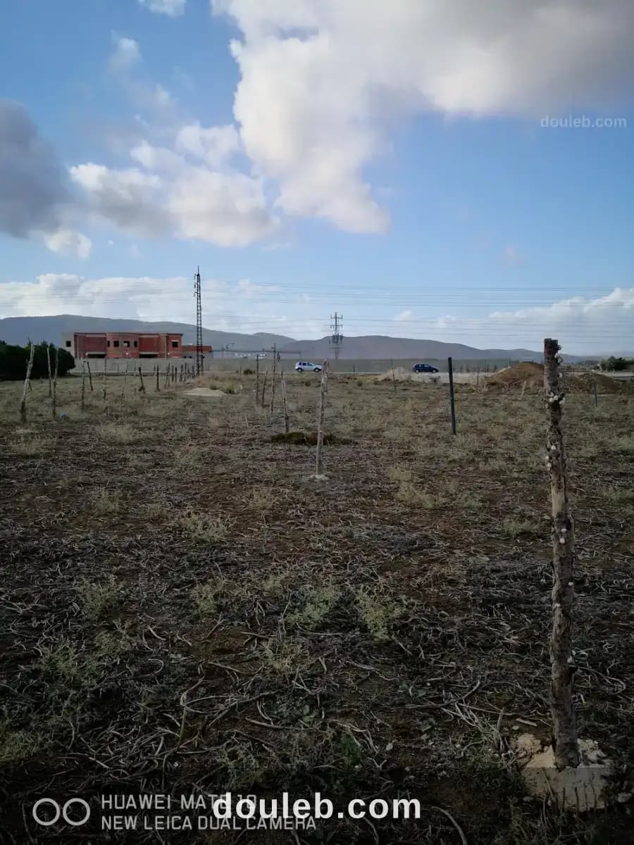 Terrain 800m - Miniature 2