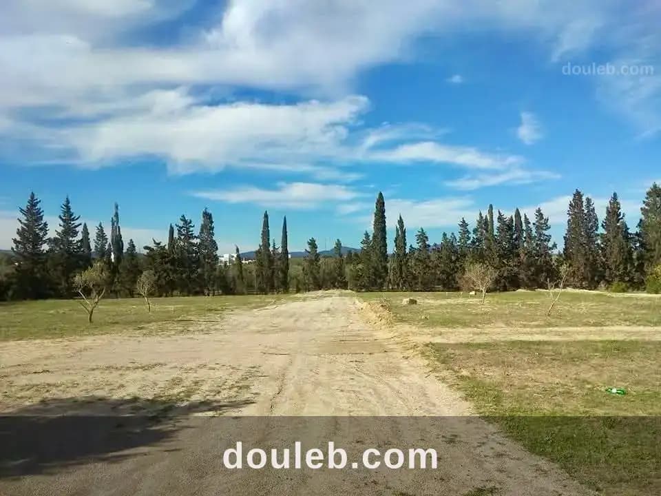 Terrain situé a jinen el hammamet à Nabeul