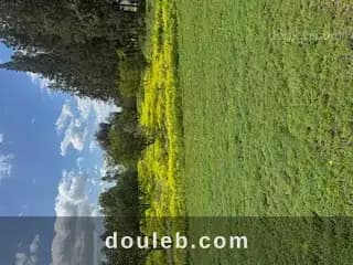 Senia de 28 000 m2 - Miniature 5