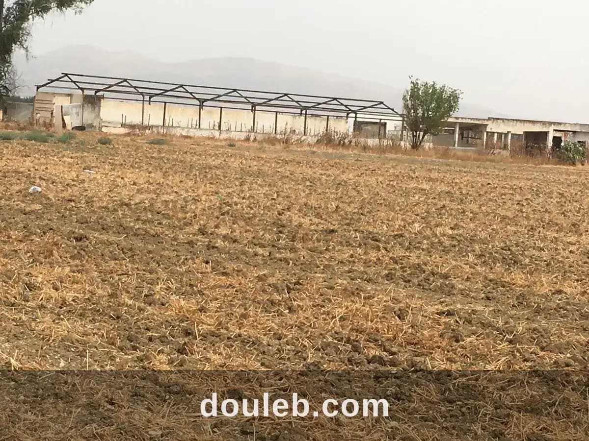 Terrain et ferme à bousalem à Jendouba