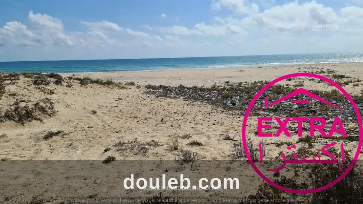 Errain pieds dans l'eau a menzel temime - Miniature 2