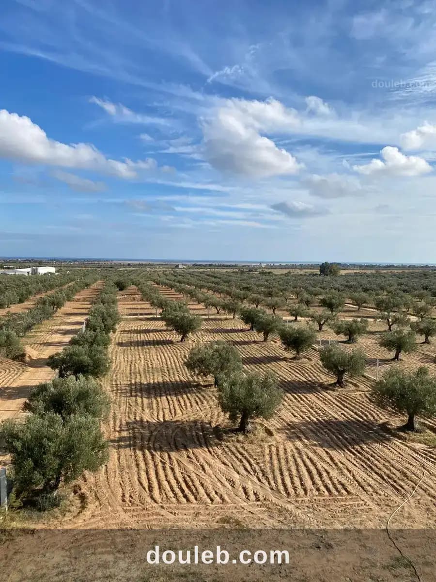 Terrain à bouficha à Sousse
