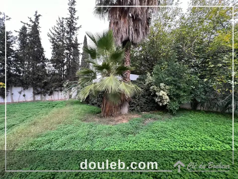 Une villa à ariana - Miniature 5