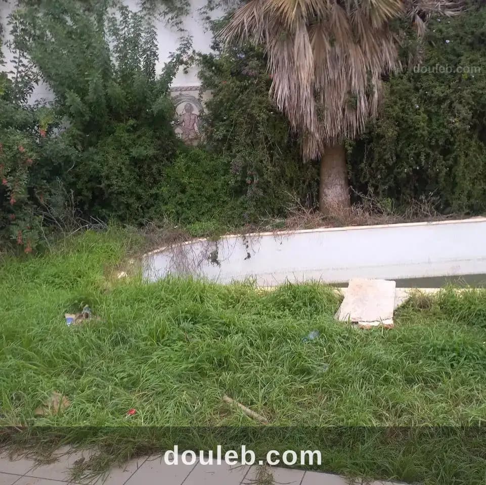 Villa à gammarth supérieur à Tunis