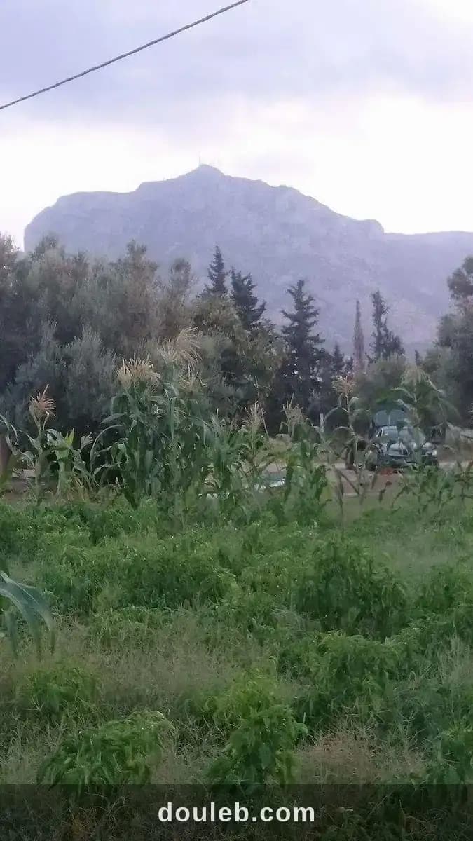 Lot de terrain à zaghouan à Zaghouan