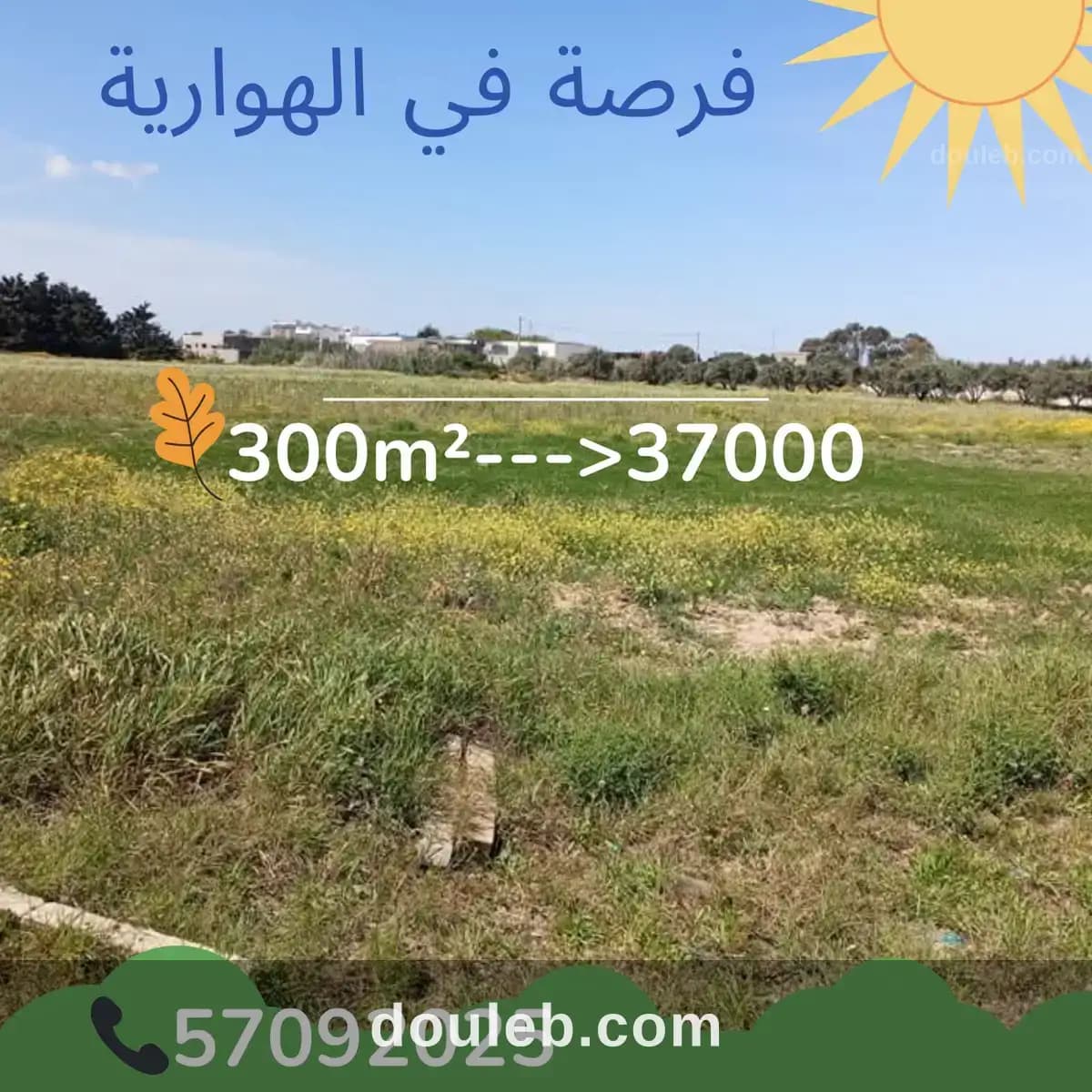 Elhaouari commercial à Nabeul