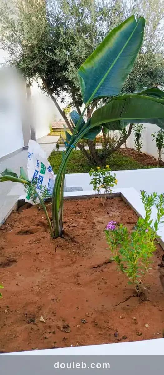 Jardin d'el menzah joli rdc villa avec jardin à Ariana