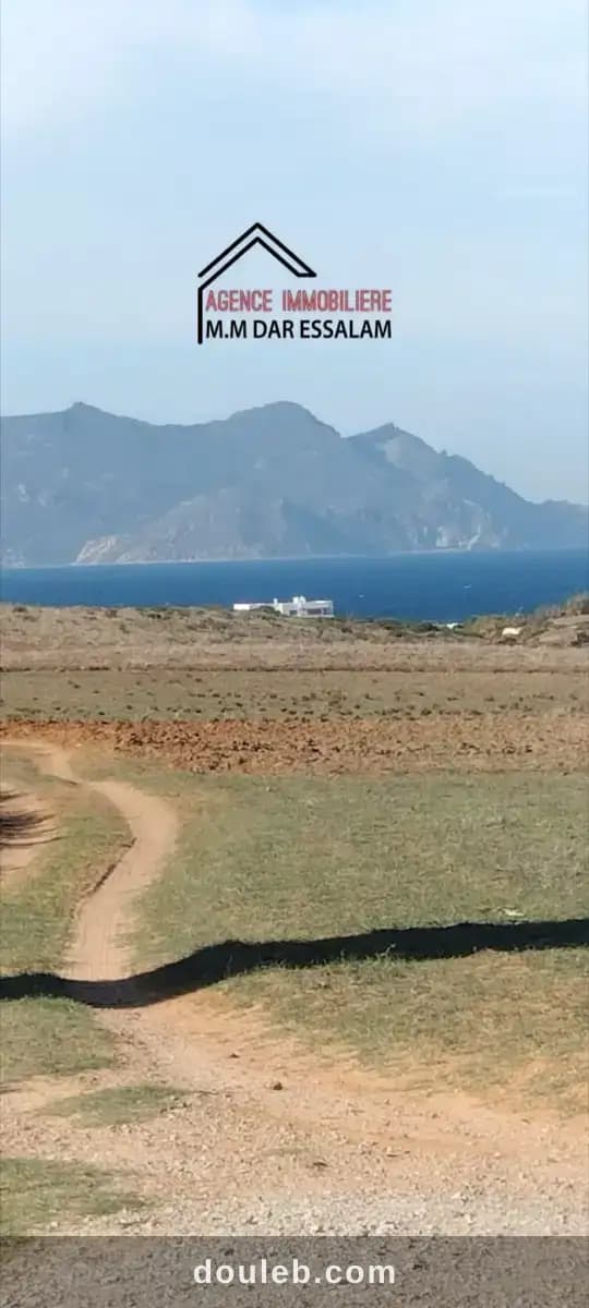Hectare près de la mer à Nabeul