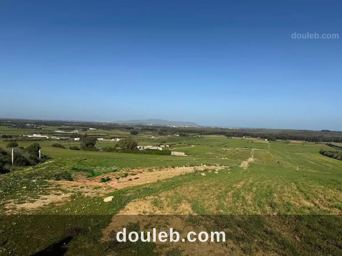 Un havre de paix azmour - Miniature 3