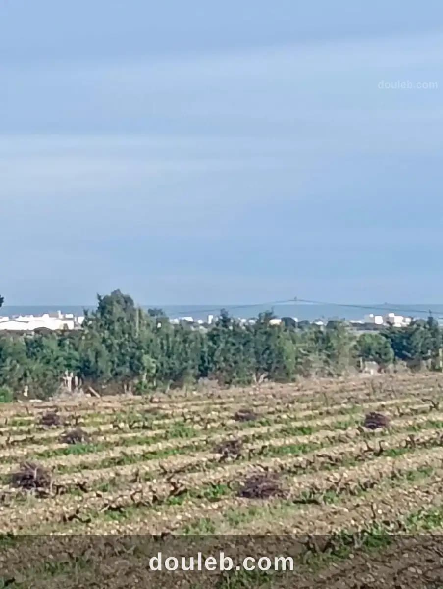 Belle terrain à Nabeul