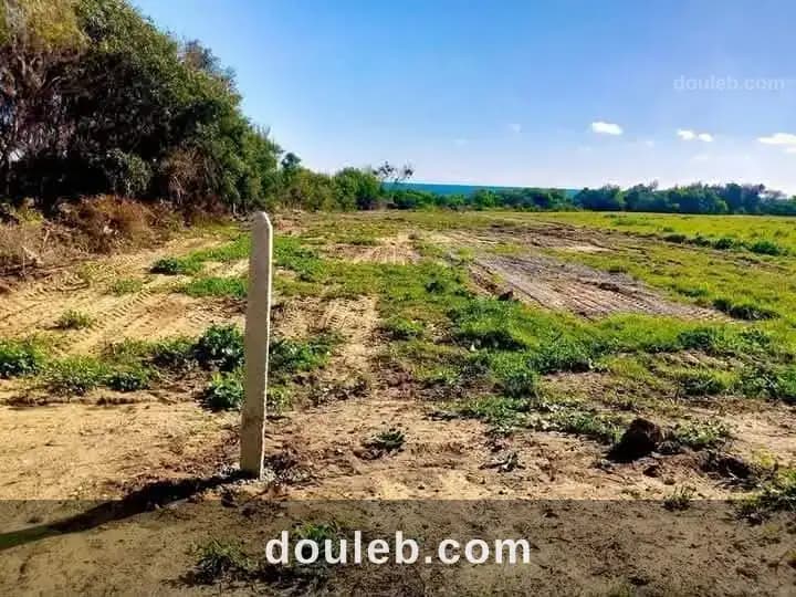 Kerkwen terrain - Miniature 3
