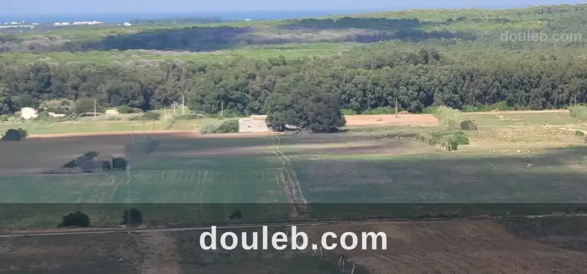 Terrain à kélibia à Nabeul