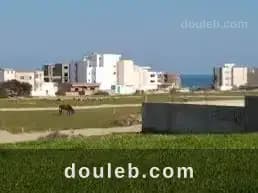 Proximité mer à sidi jameleddinne à Nabeul