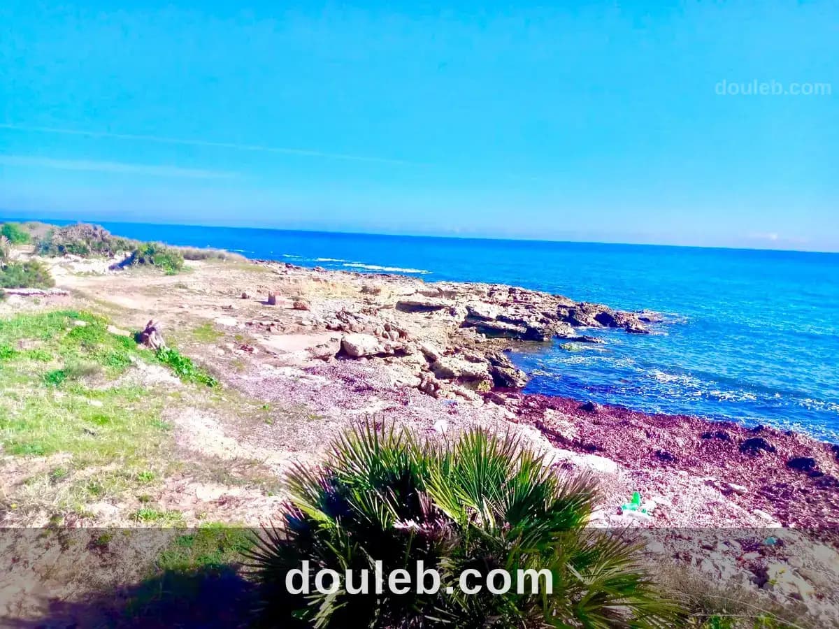 Terrain entre manzel tmime et kelibia à Nabeul