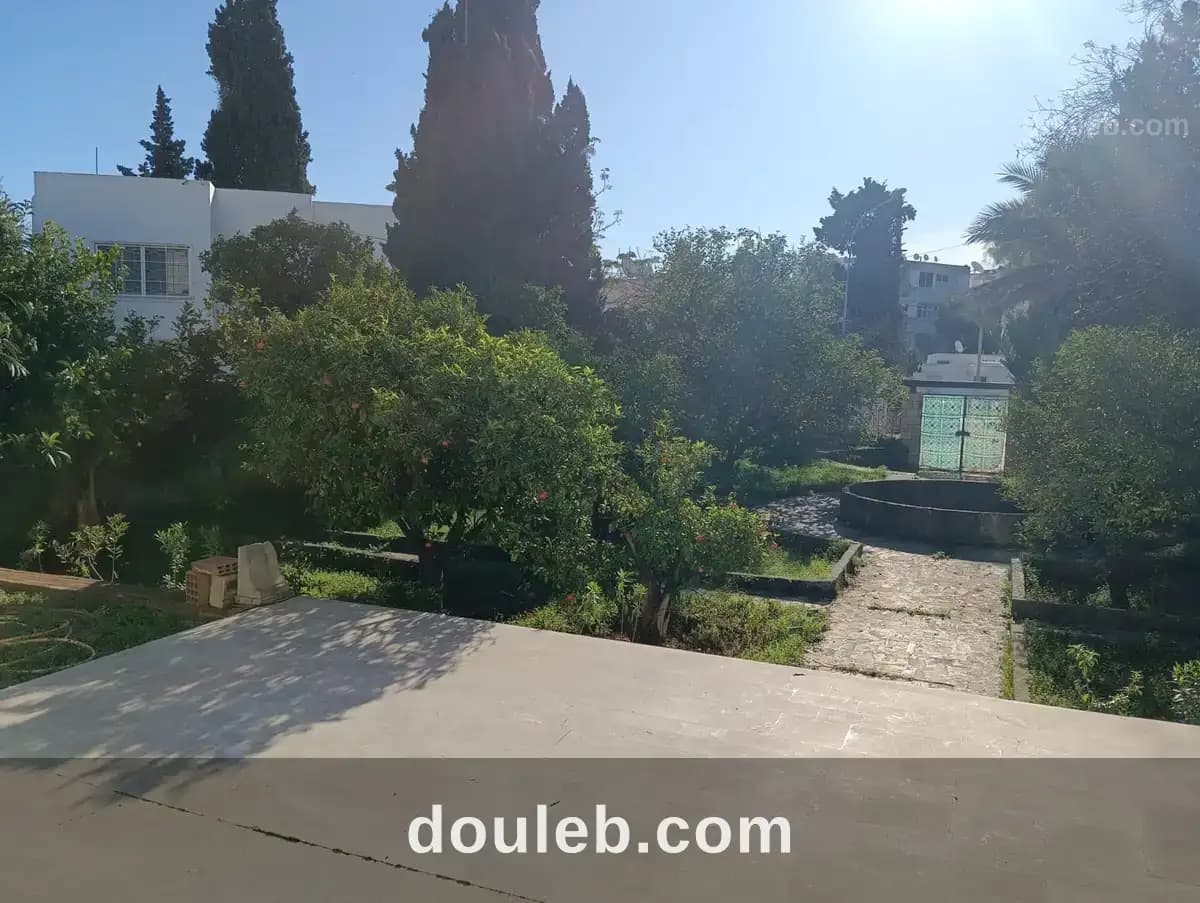 Belle villa à mutuelleville jardin quartier calme à Tunis