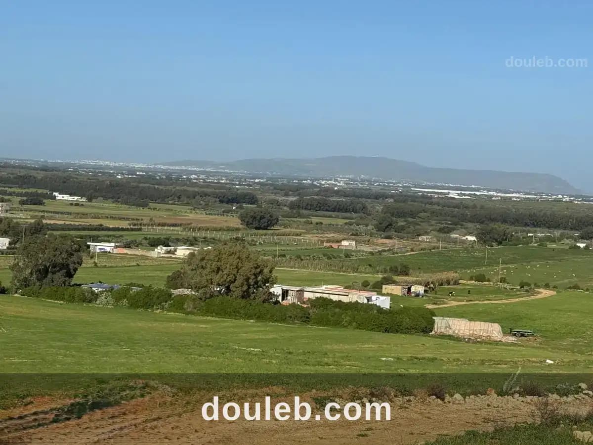 Entre mer et vergers votre futur jardin à azmour à Nabeul
