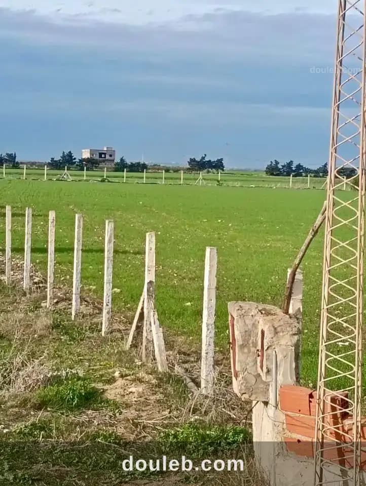 Votre futur havre de paix à kelibia à Nabeul