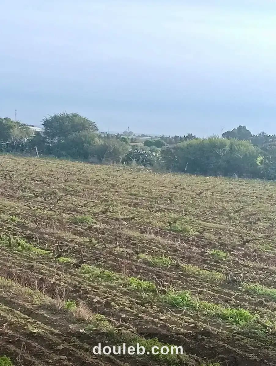 Terrain avec prix raisonnable à Nabeul