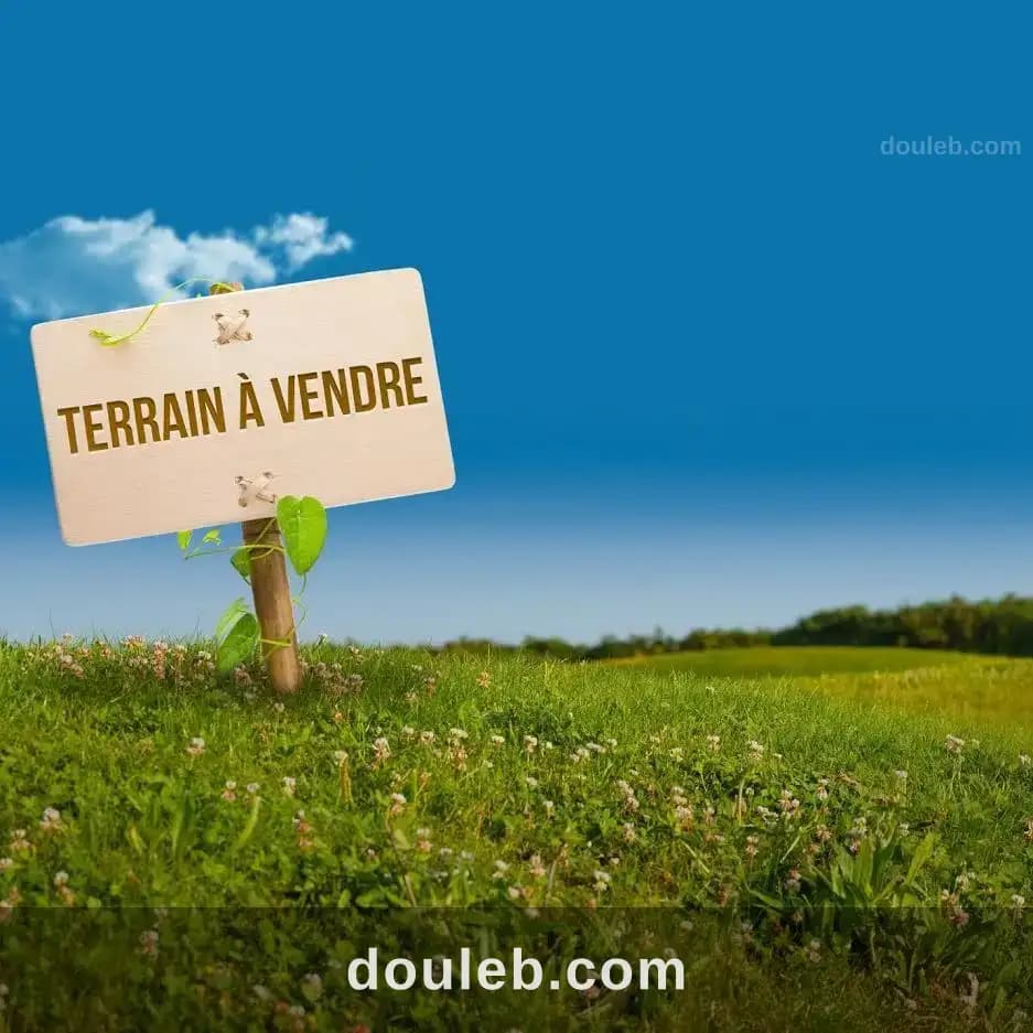 Terrain situe entre manzel tmime et kelibia à Nabeul