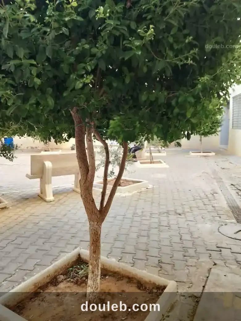 Appartement à morneg à Ben Arous