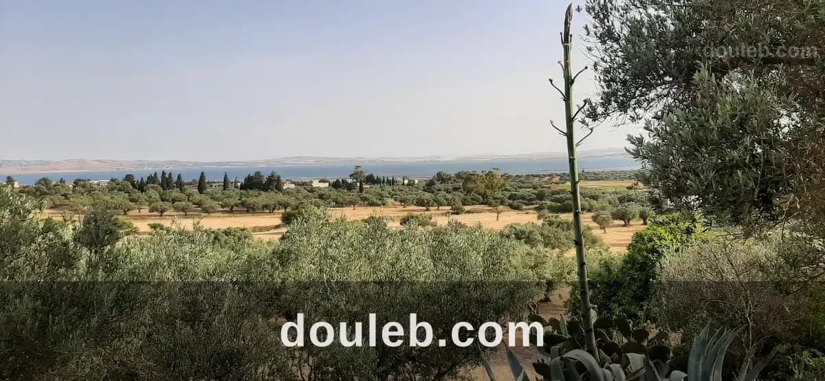 Terrain a chaara à Bizerte