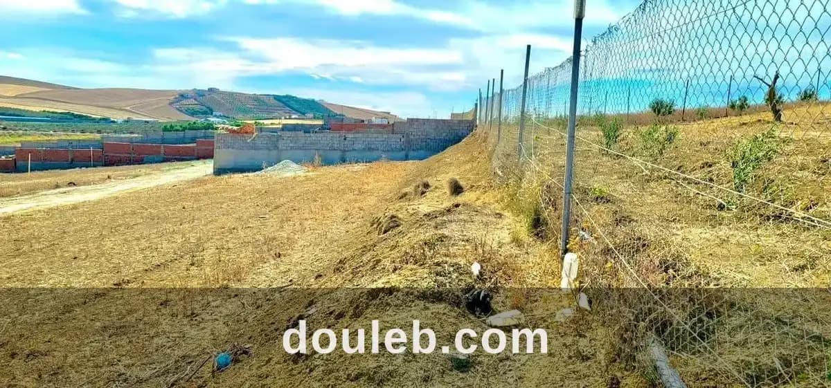 Investissement magnifique - Miniature 4