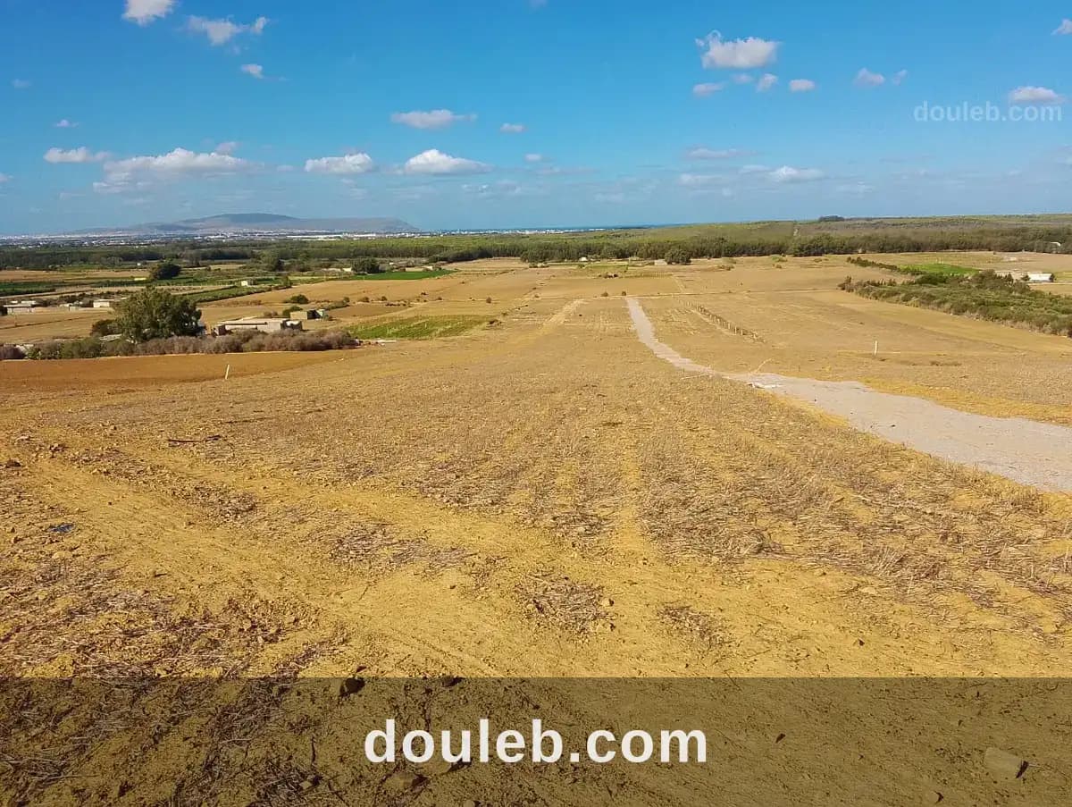 Terains kelibia azmour à Nabeul