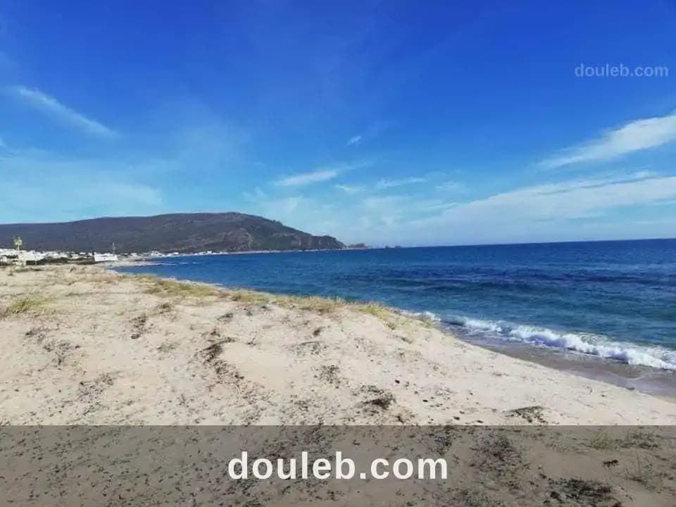Le plus vendeur à Nabeul