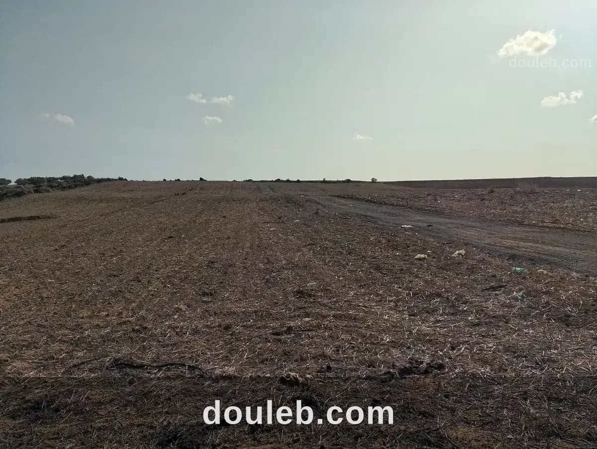 Des offres spécial à kelibia à Nabeul