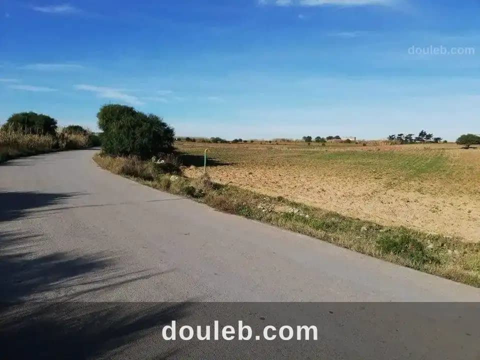 Terrain a haouaria 275 m2 a 42000 à Nabeul