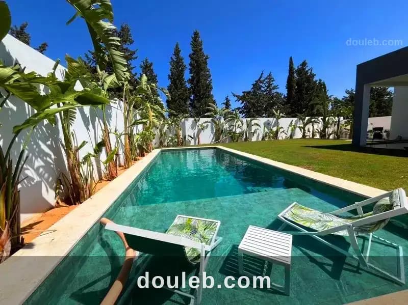V550 villa delice sidi hammed t à Nabeul