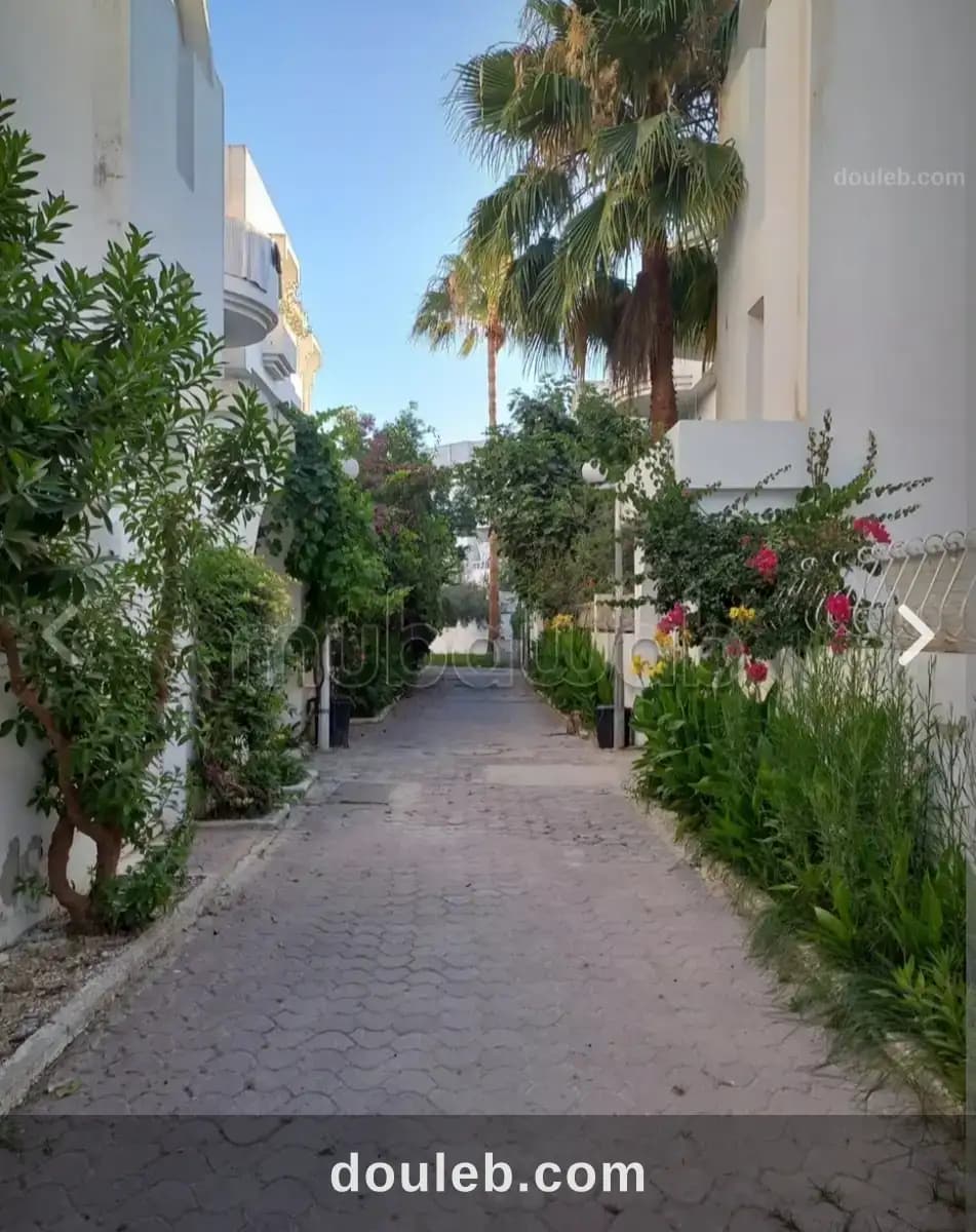 S1 a ain zaghouan - Miniature 2