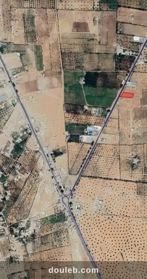 Idéal pour habitation à Kasserine