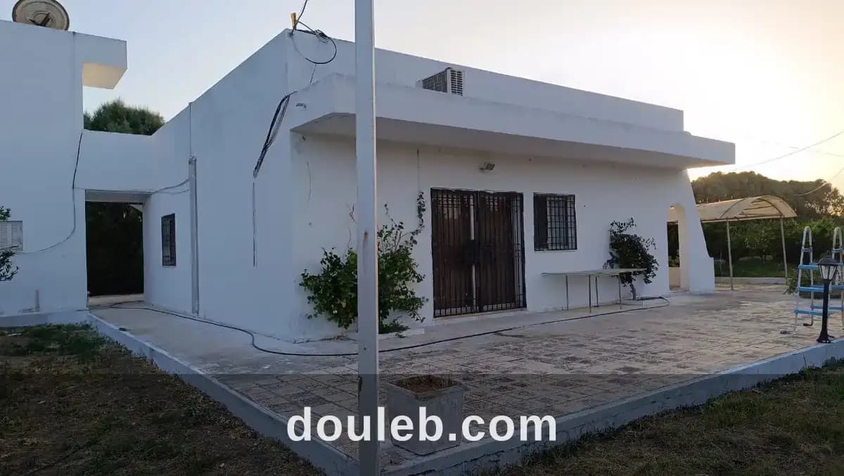 Senia agrumes de 6 hectares à menzel bouzelfa à Nabeul