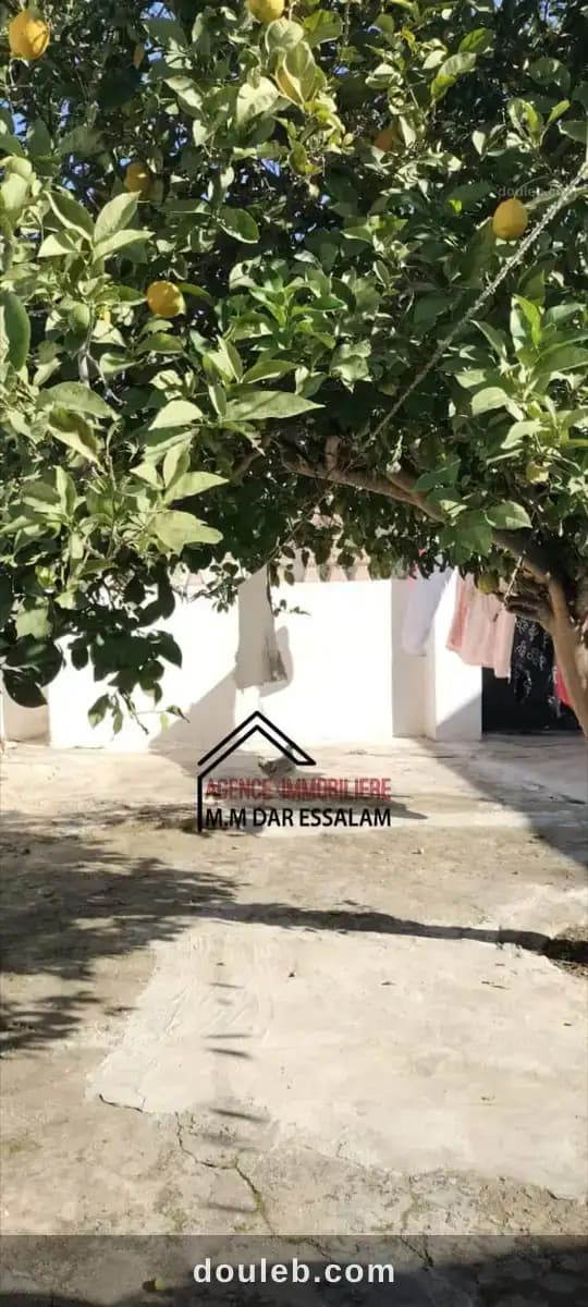Maison indépendante à kélibia - Miniature 2