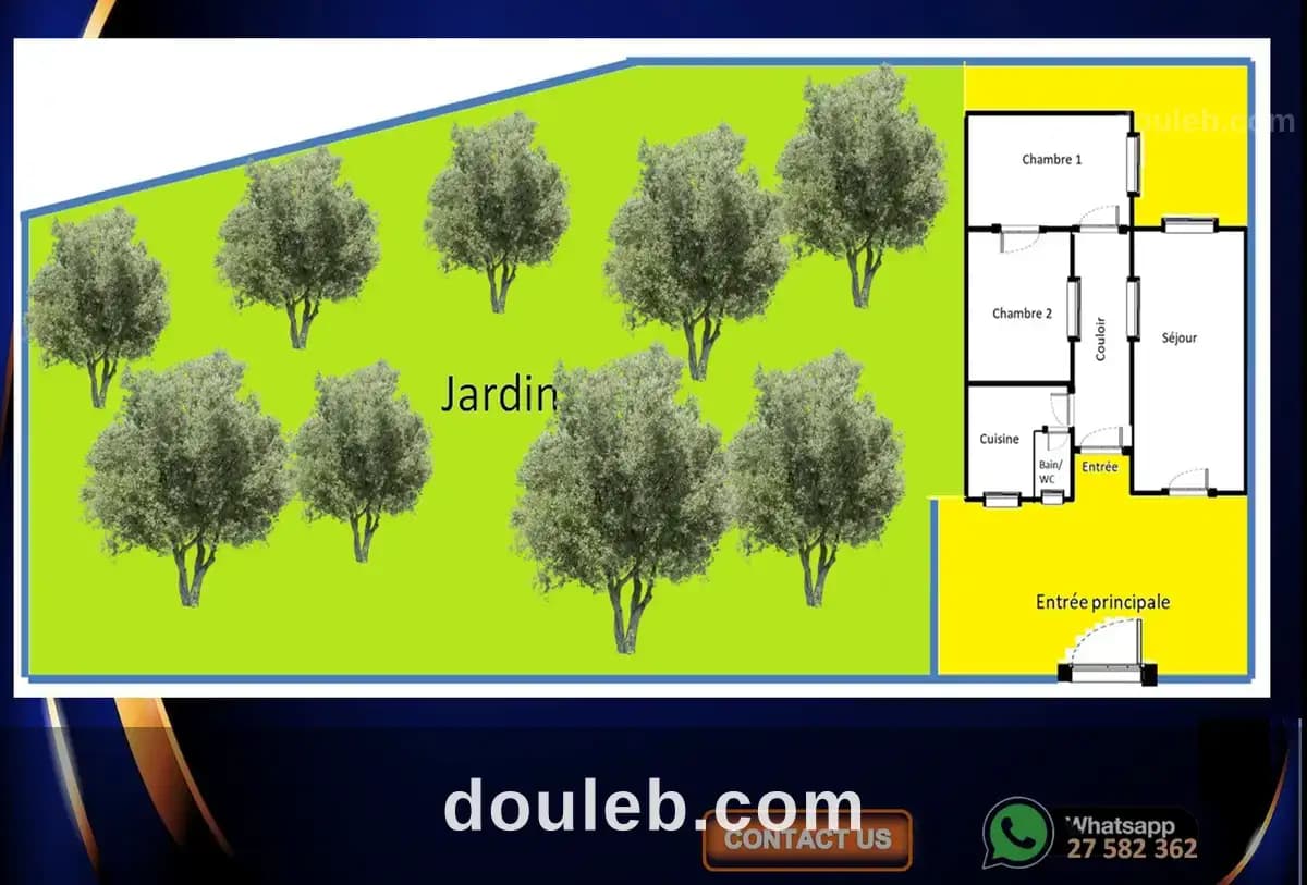 Maison avec grand jardin 9 oliviers - Miniature 5