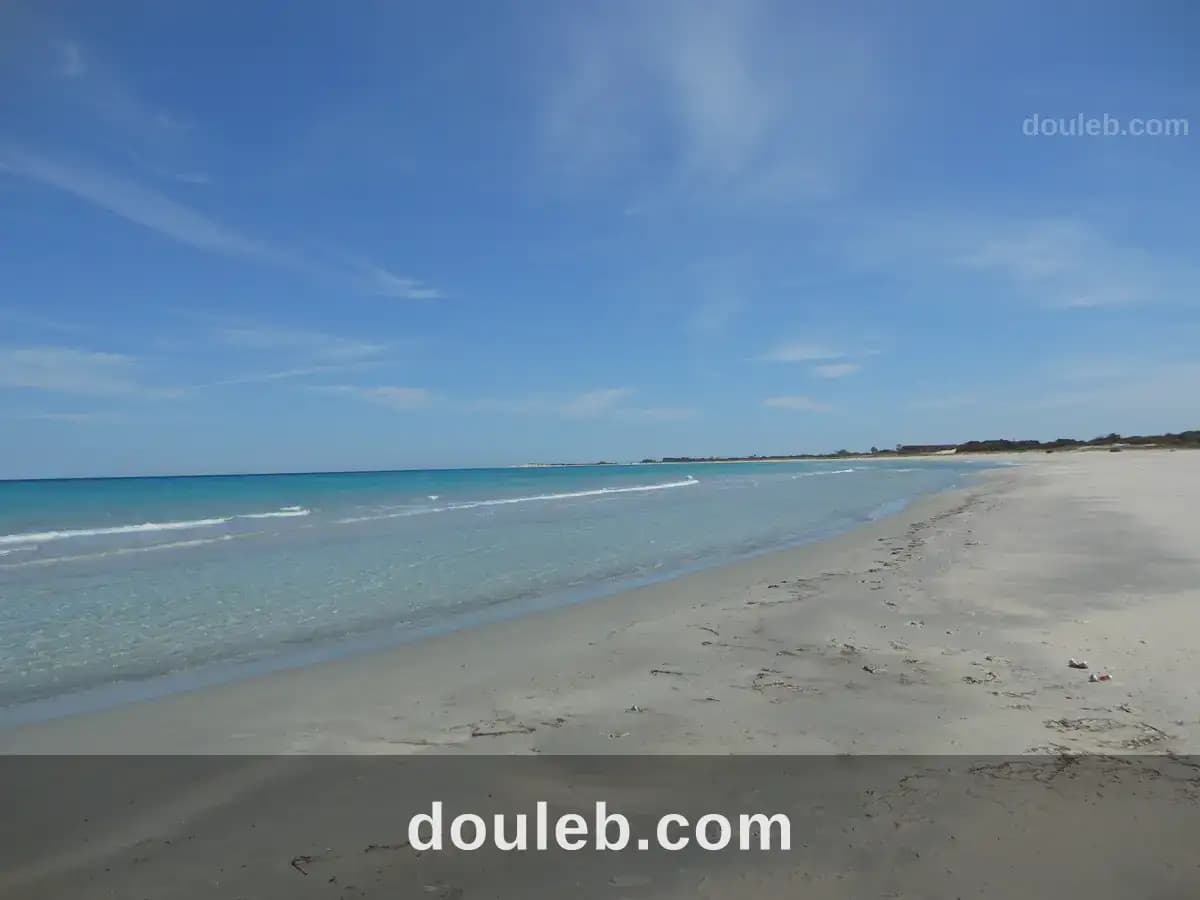 Bonne occasion de 1000 métre carré a kelibia à Nabeul