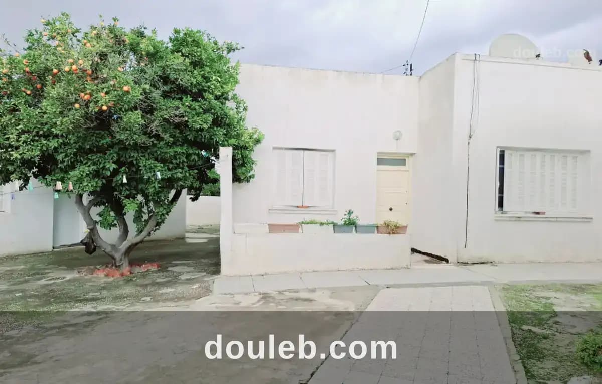 2 villas et un studio à el ouardia 1 - Miniature 2