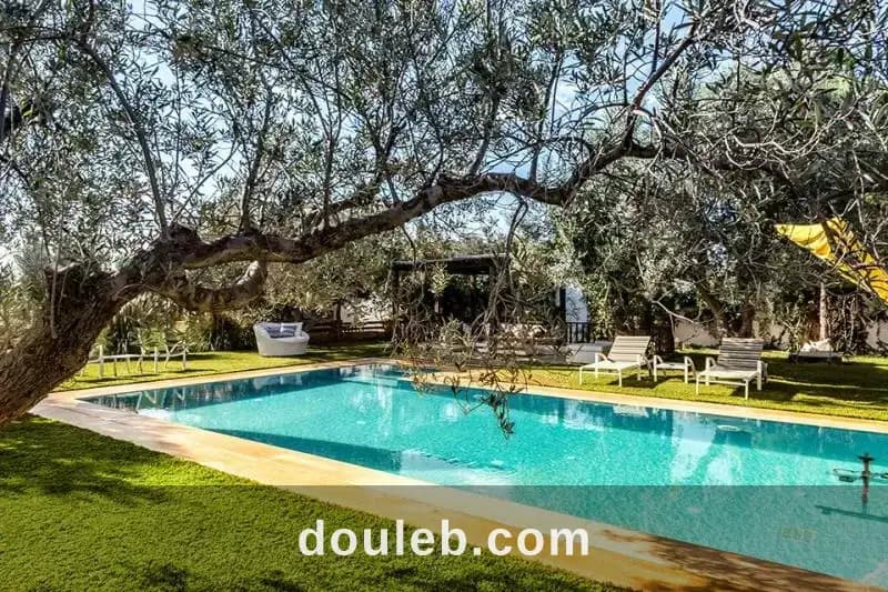 V566 maison d hôte celina el monchar t à Nabeul