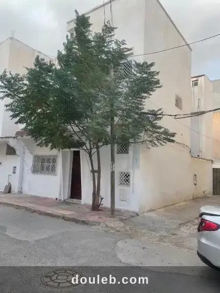 2maisons plus studio - Miniature 5