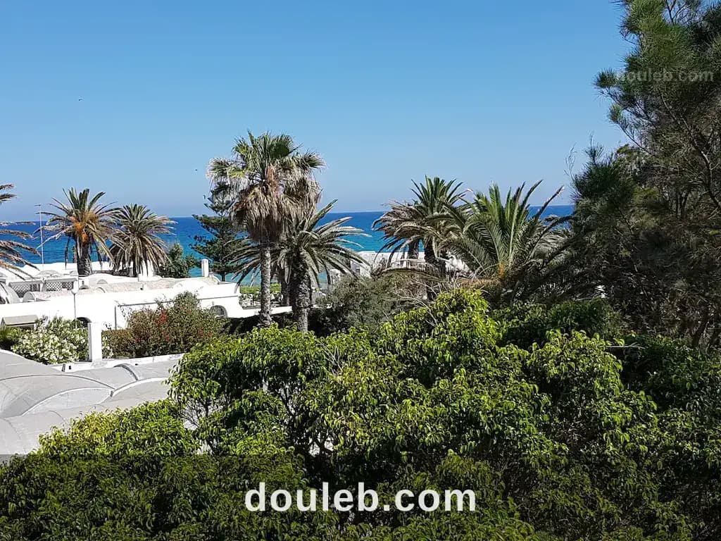 V556 villa plumette bella villa à Nabeul