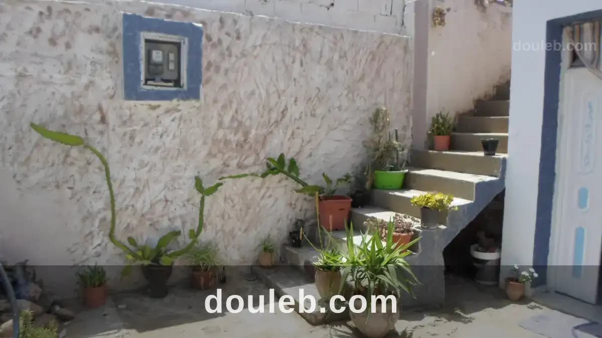 Maison a kelibia à Nabeul